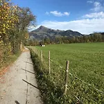 The Farm