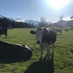 The Farm