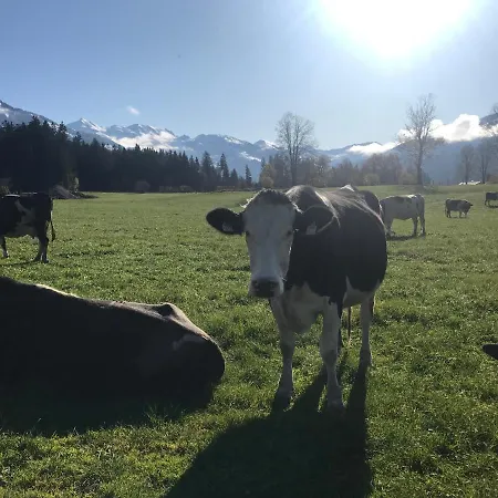 The Farm